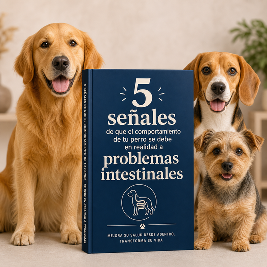 5 señales de que el comportamiento de tu perro se debe en realidad a problemas intestinales