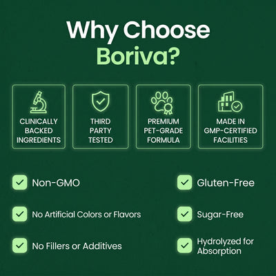 Boriva Premium Liquid Collagen