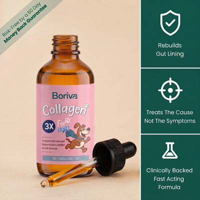 Boriva Premium Liquid Collagen